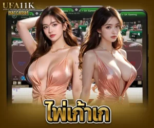 เก้าเก