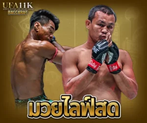 มวยไลฟ์สด