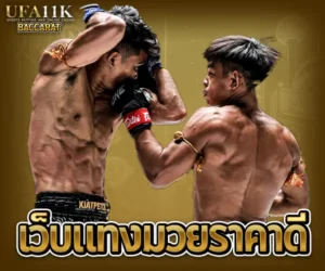เว็บแทงมวยราคาดี