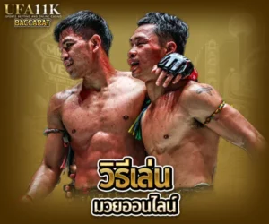เว็บเล่นมวยออนไลน์