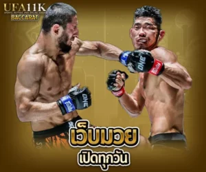เว็บมวยเปิดทุกวัน