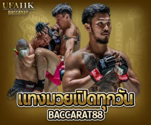 แทงมวยเปิดทุกวัน ราคามวยล่าสุด เรตมวยออนไลน์วันนี้ สูตรแทงมวยรอง สูตรแทงมวยเต็ง มวยออนไลน์ไม่ล็อกยูส แทงมวยสด มวยสเต็ปแตกง่าย วิธีเล่นมวยออนไลน์ เว็บมวยไม่ผ่านเอเย่นต์ แทงมวยถูกกฎหมาย มวยสดวันนี้ช่องไหน