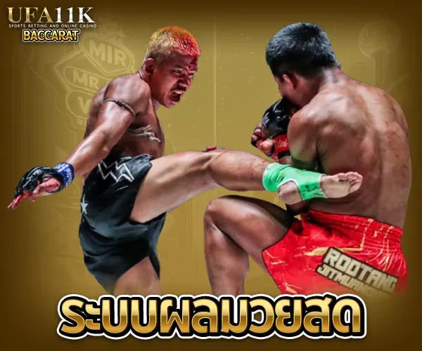 ผลมวยสด baccarat88