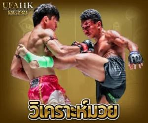 วิเคราะห์มวย baccarat88