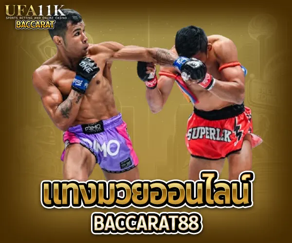 แทงมวยออนไลน์ baccarat88
