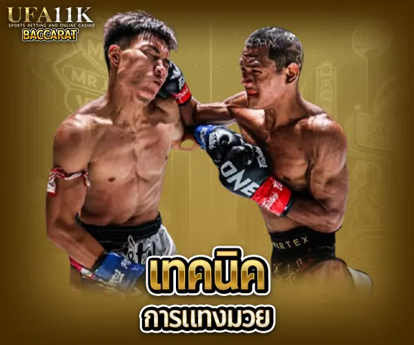 แทงมวยออนไลน์ baccarat88